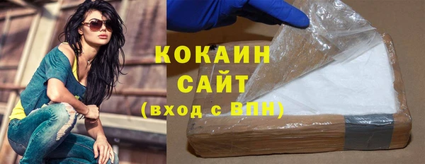 хмурый Мегион