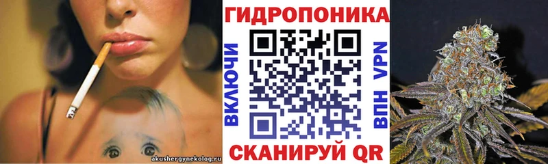 дарнет шоп  Нюрба  Шишки марихуана планчик 